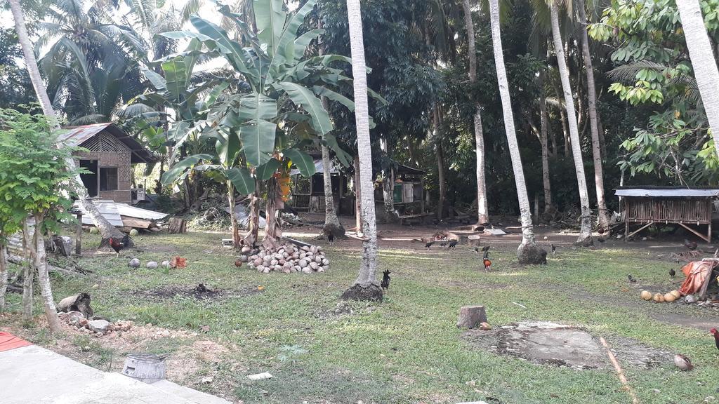 James Homestay Siquijor Bagian luar foto